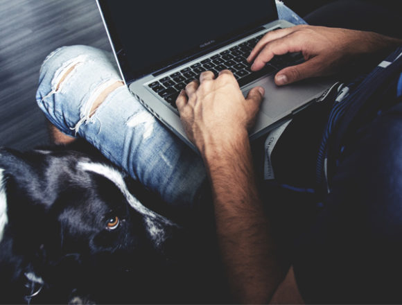 Animali in ufficio: quando i benefit riguardano i pets Animali in ufficio: quando i benefit riguardano i pets
