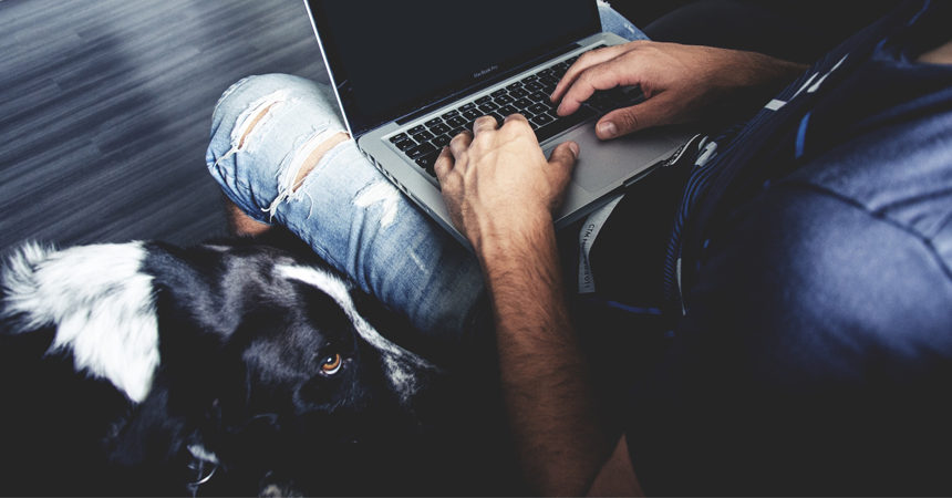 Animali in ufficio: quando i benefit riguardano i pets Animali in ufficio: quando i benefit riguardano i pets