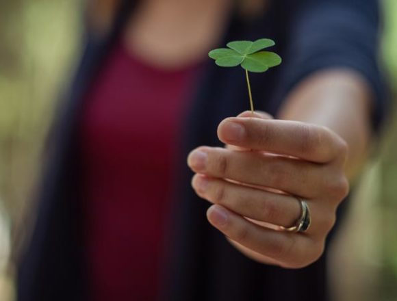 Crescono i climate quitters tra millennials e genZ, scelgono posti di lavoro green Crescono i climate quitters tra millennials e genZ, scelgono posti di lavoro green